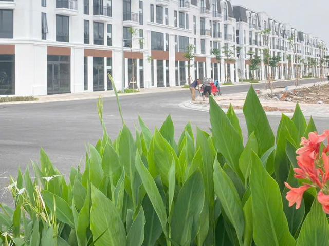 Chính chủ cần bán gấp căn hộ 4 tầng tại dự án Vlasta Thủy Nguyên giá 4.5 tỷ