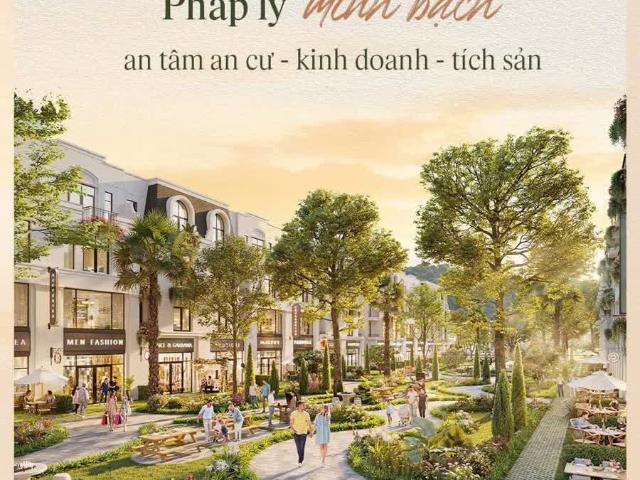 Chính chủ cần bán gấp căn hộ 4 tầng tại dự án Vlasta Thủy Nguyên giá 4.5 tỷ