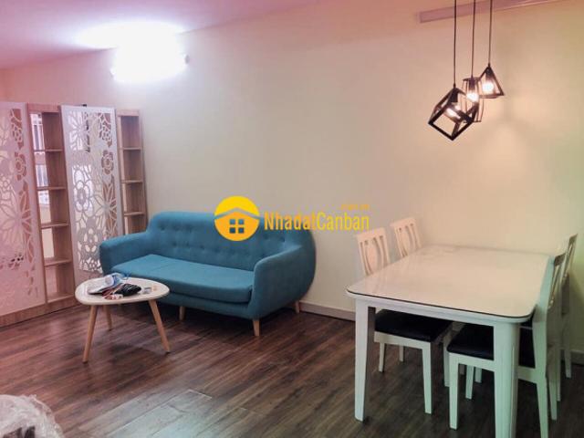 Chính chủ cần bán gấp căn hộ 1pn chung cư bàu cát 2 thang máy đường hồng lạc, quận tân bình