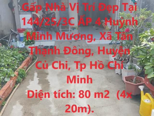 CHÍNH CHỦ Cần Bán Gấp Nhà Vị Trí Đẹp Tại Tân Thạnh Đông, Huyện Củ Chi, Tp Hồ Chí Minh