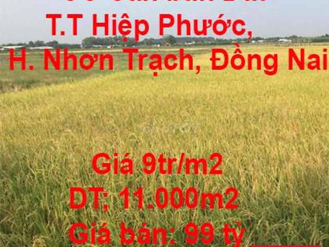 Chính chủ Cần bán Đất trồng lúa ở Thị trấn Hiệp Phước, Huyện Nhơn Trạch, Đồng Nai