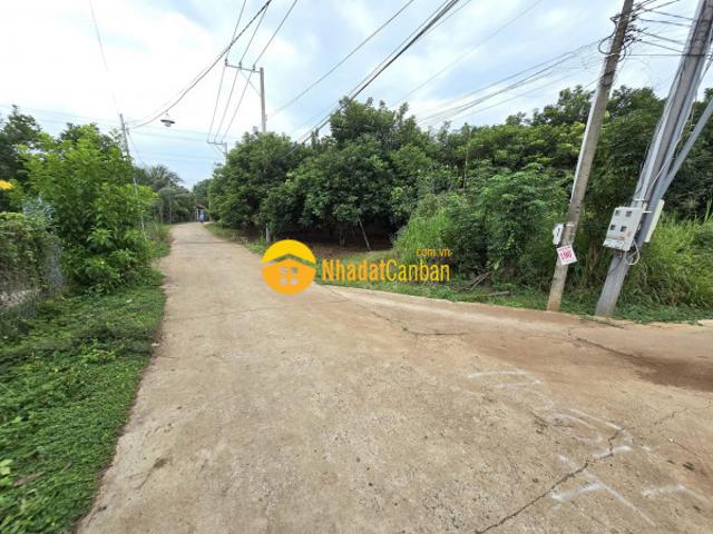 Chính chủ cần bán đất vườn 1.300m² tại gia kiệm thống nhất, đồng nai. Gần kcn long khánh, sân bay