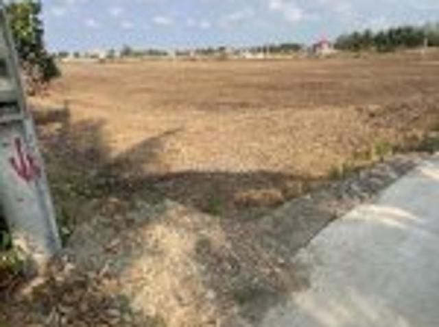 Chính Chủ Cần Bán 1800M2 Đất Lúa Tại Phạm Văn Chính, Xã Mỹ Lệ, Huyện Cần Đước, Long An