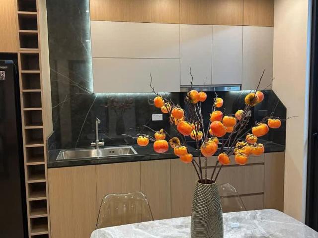 Chính chủ cần bán 3N, 2WC full nội thất chung cư N03 Trần Quý Kiên, Cầu Giấy, Hà Nội, chỉ hơn 5 tỷ