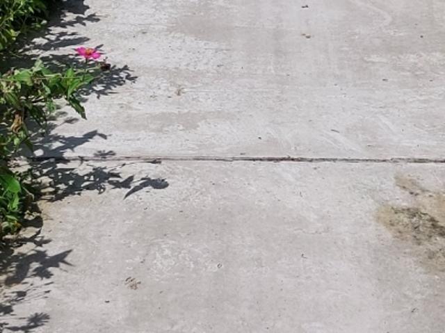 Chính chủ cần ra nhanh lô đất giá rẻ vị trí đắc địa tại huyện Châu Thành, tỉnh Bến Tre