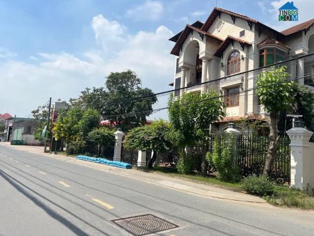 Chính chủ gửi bán nhà lô góc cực hiếm 10m x 30m tại trục đường thương mại sầm uất nhất Quận 6
