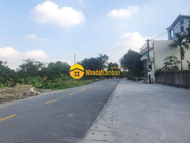 Chính chủ gửi bán đất tại thôn tăng bảo tân quang văn lâm, đường trải nhựa, giá tốt