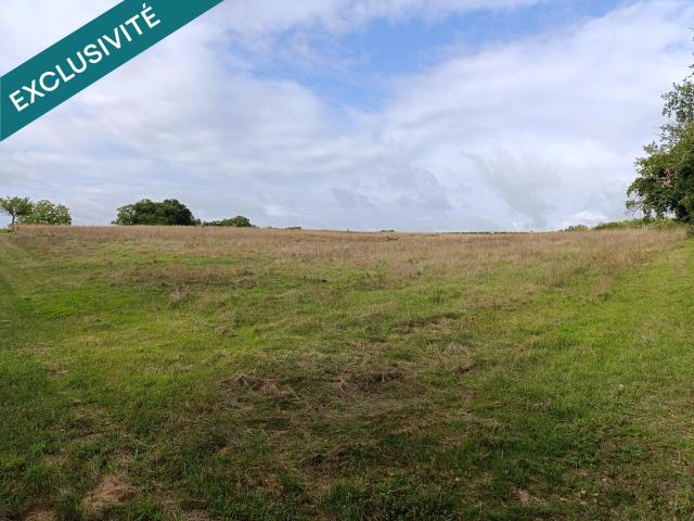 Chinon Vente Terrain 37