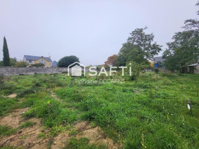 Chinon Vente Terrain 37