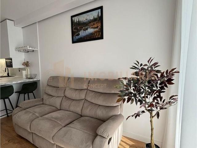 Chirie Apartament 2 camere zona Alecsandri