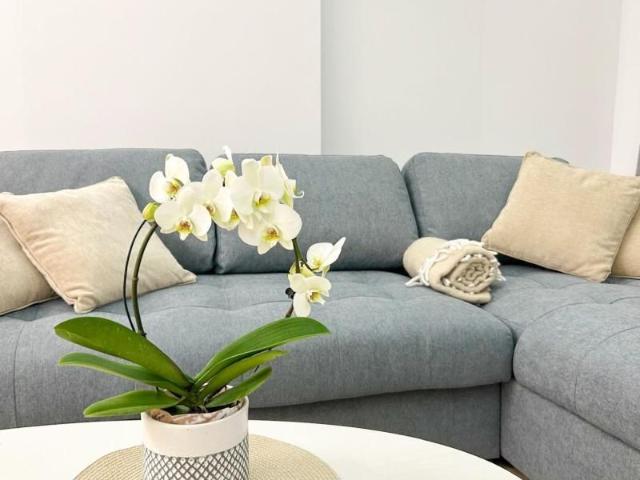 Chirie I Apartament luminos 3 camere I Cortina Nort | Etaj 10 |