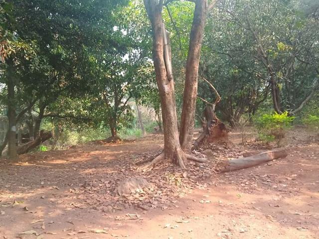 Chirle, Uran 1089 Sq.Ft. Plot in Chirle Navi Mumbai Listing ID: #10297