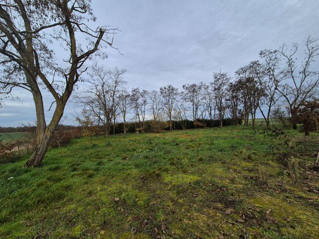 Chissay en Touraine Vente Terrain 41