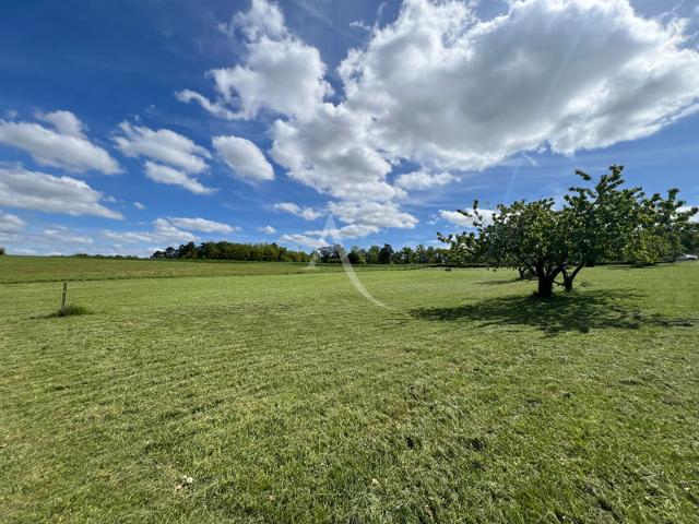 Chissay en Touraine Vente Terrain 41