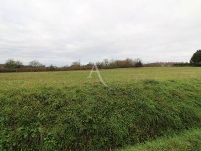 Chisseaux Vente Terrain 37