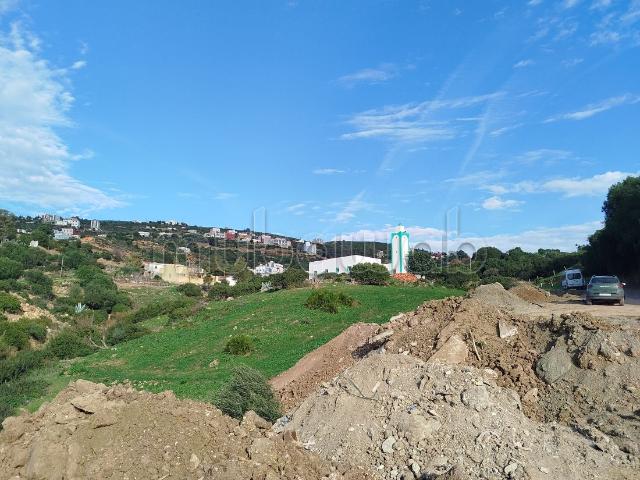 Chjirat Tanger moulkia aslia