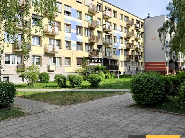 Chrobrego 53 m², Września