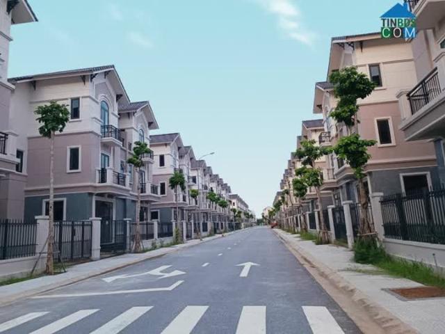 Chuyển nhà lên sang nhượng căn biệt thự 135m2 tại đô thị singapore Centa