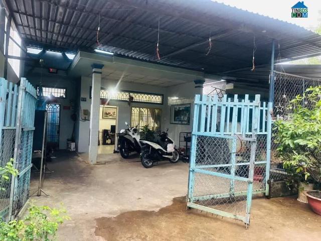 Chú 7 Cần Tiền Bán Nhà 174m2 Thổ Cư, Ngay BV Xuyên Á, Củ Chi giá 600 Triệu, Có SHR