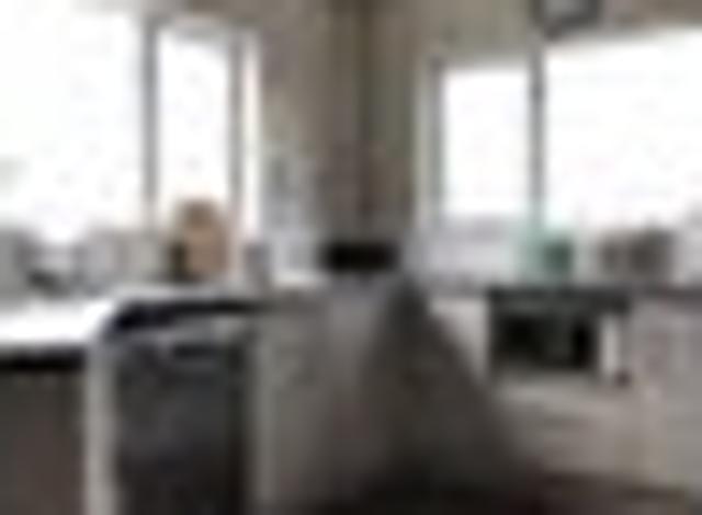 Churton Park, 4 bedrooms, $750 pw