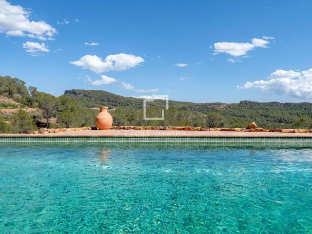 Cima privilegiada · 8 hectáreas de viñedos, pinares y olivar. 327m² El Molar