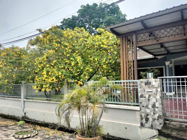 Cinta Sayang Golf Sungai Petani