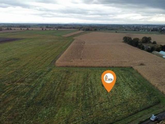 Ścinawa Polska, 4300 m² Działka