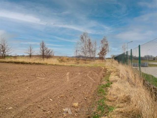 Ścinawka Dolna, 11527 m² Działka