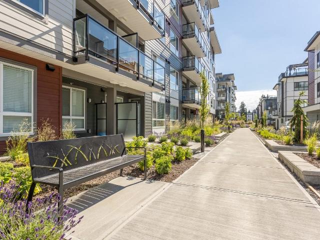 Cinema District Condos 2 Bedroom Apartment for Rent at 1516 Mccallum Rd, Abbotsford, BC V2S 0L9 Abbotsford Centre