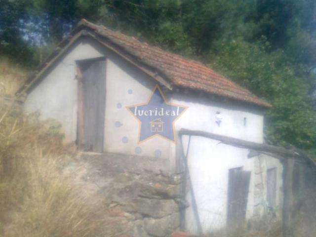 Cinfães Cinfães 102239178