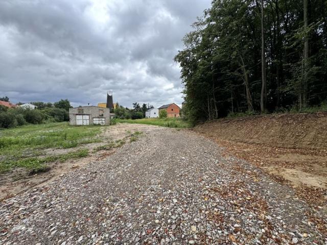 Cicha 2 444 m², Gniezno