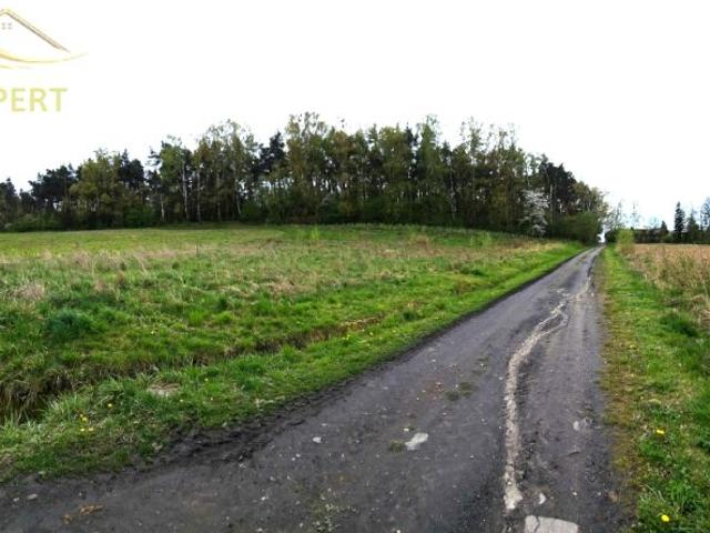 Cicha 3 758 m², Gaszyn