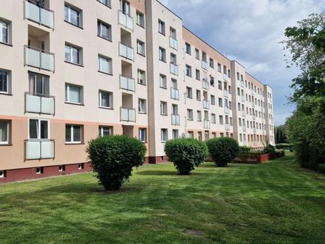 Ciche i słoneczne z widokiem na przestrzeń i zieleń