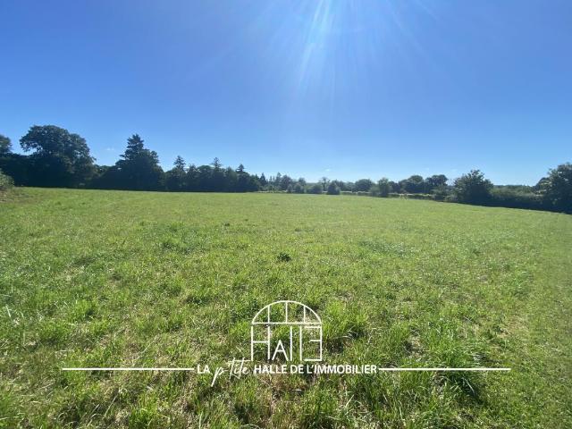 Cieux Vente Terrain 87
