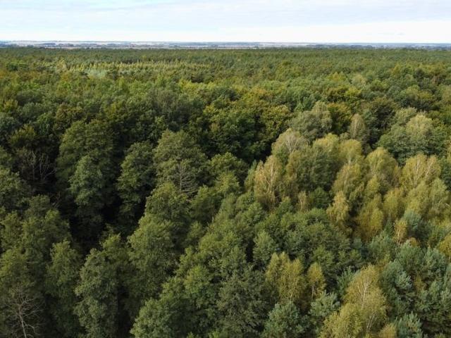 Cieplice, 27 000 m2