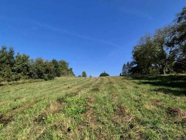 Cieszyńska 2 790 m², Jastrzębie Zdrój