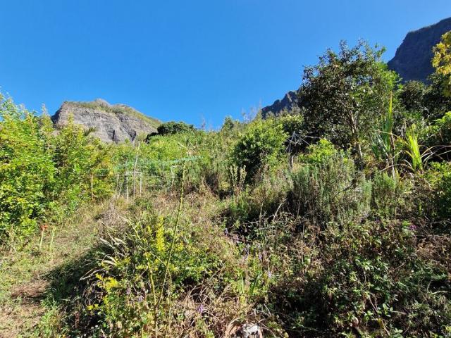 Cilaos Vente Terrain 97