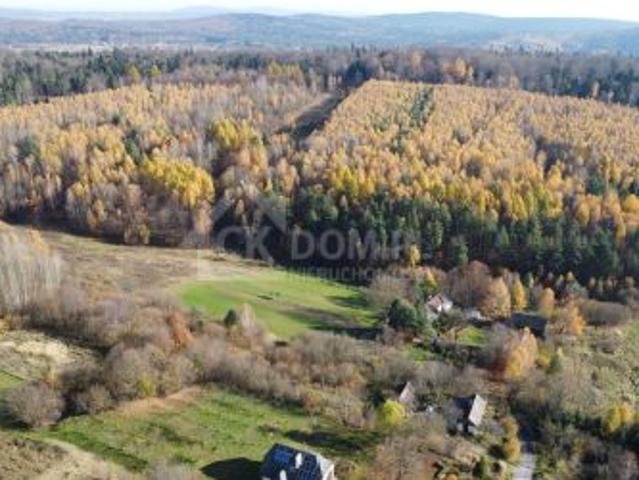 Cisów, 22500 m² Działka