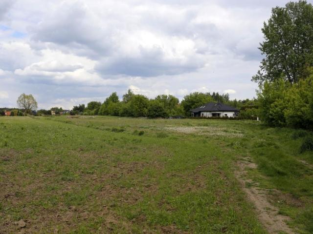 Cisowa 926 m², Wyględy