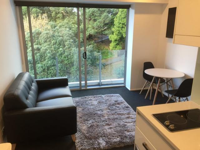 city centre, 1 bedroom
