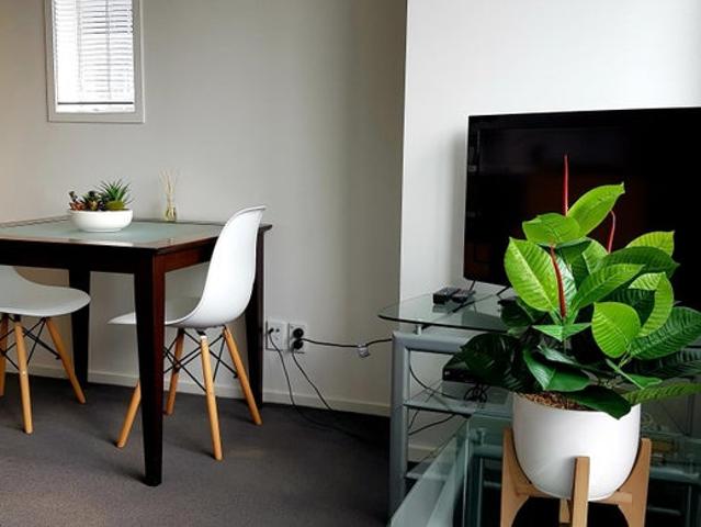 city centre, 1 bedroom