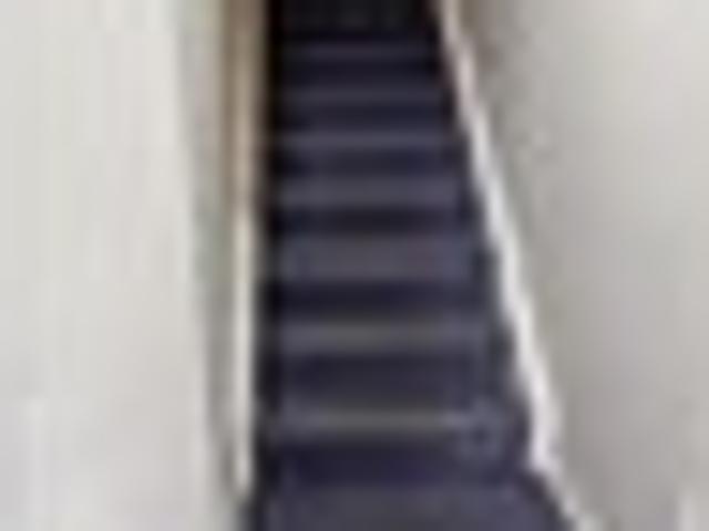 City Centre, 3 bedrooms, $700 pw