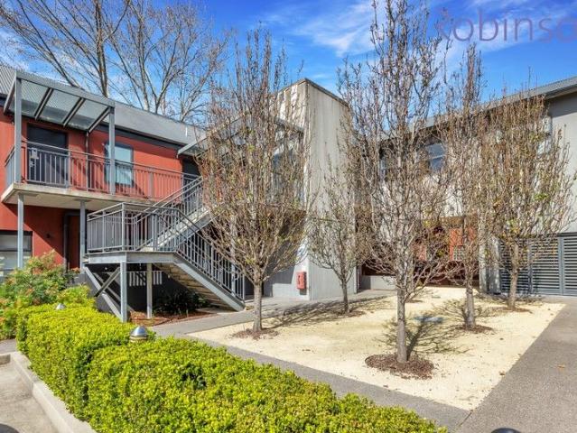 City Living Made Easy at Star Apartments
