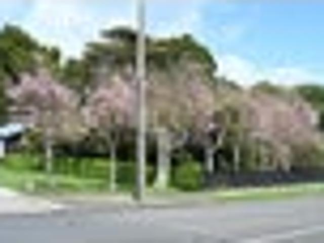 City section in dress circle location