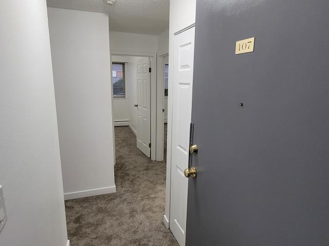 City View Apartments Two Bedroom Unit 207 [object Promise] for Rent