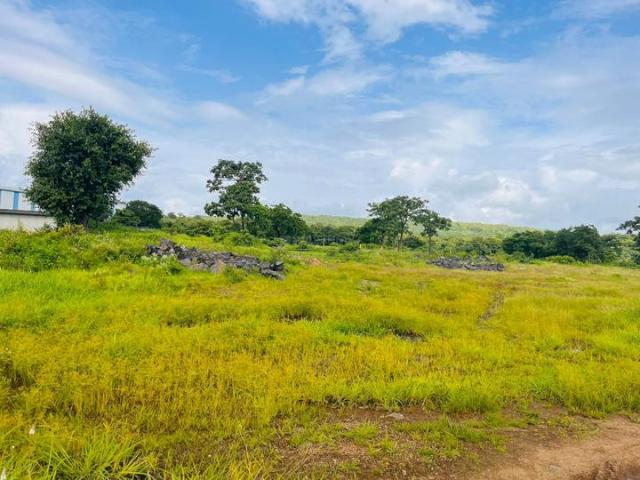 Cityprop Plots In Chirle,Chirle Residential Plot For Sale Navi Mumbai