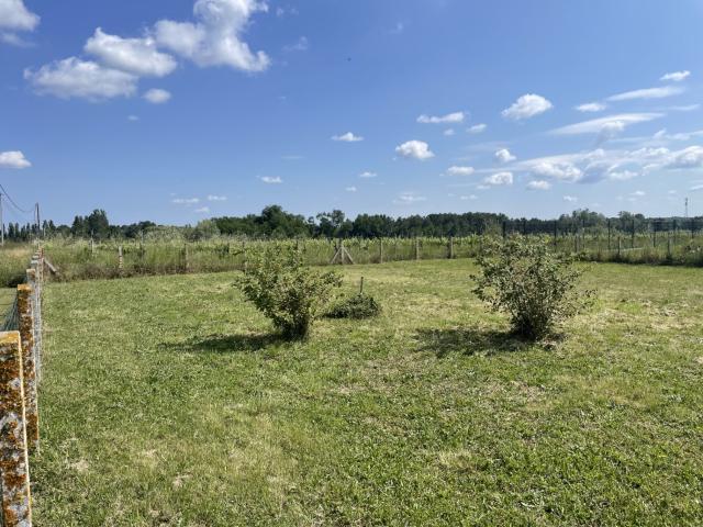 Civrac de Blaye Vente Terrain 33