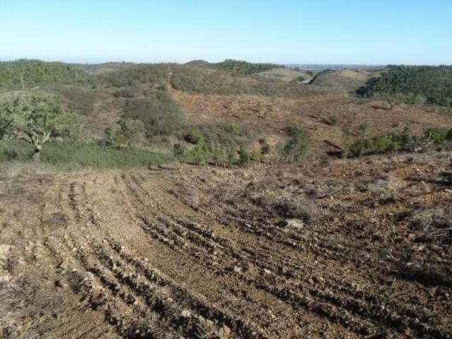 para fins agrícolas e florestais com 58.315 m2 Santana da Serra Ourique, Ourique, Santana da serra