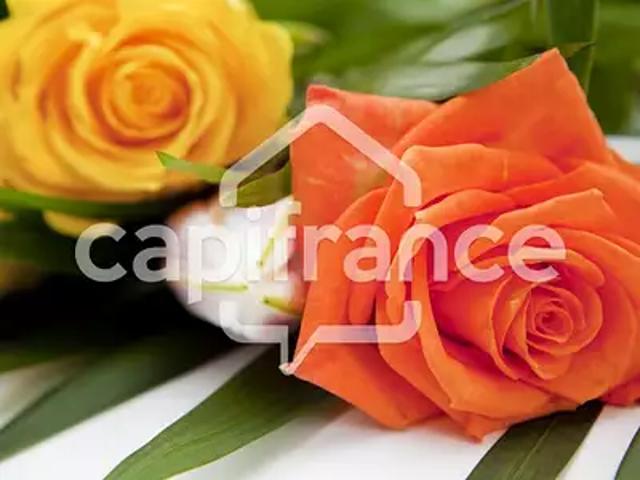 Combani 97680 Achat / Vente terrain