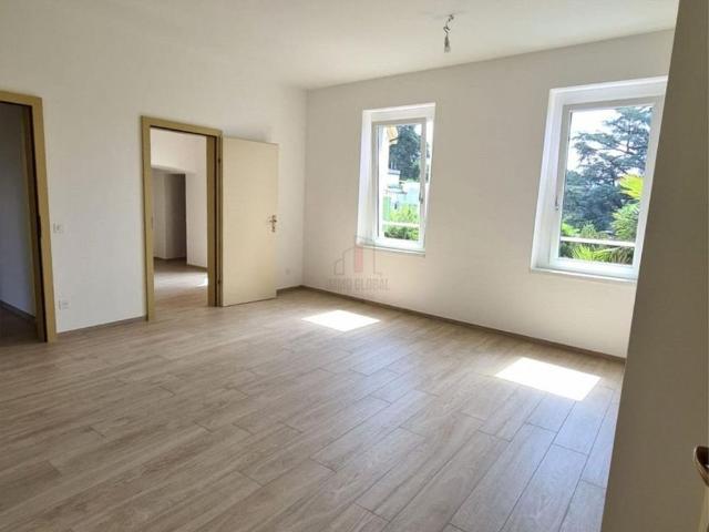 COMFORTABLE FOUR ROOM APARTMENT AVAILABLE FROM JULY 2026